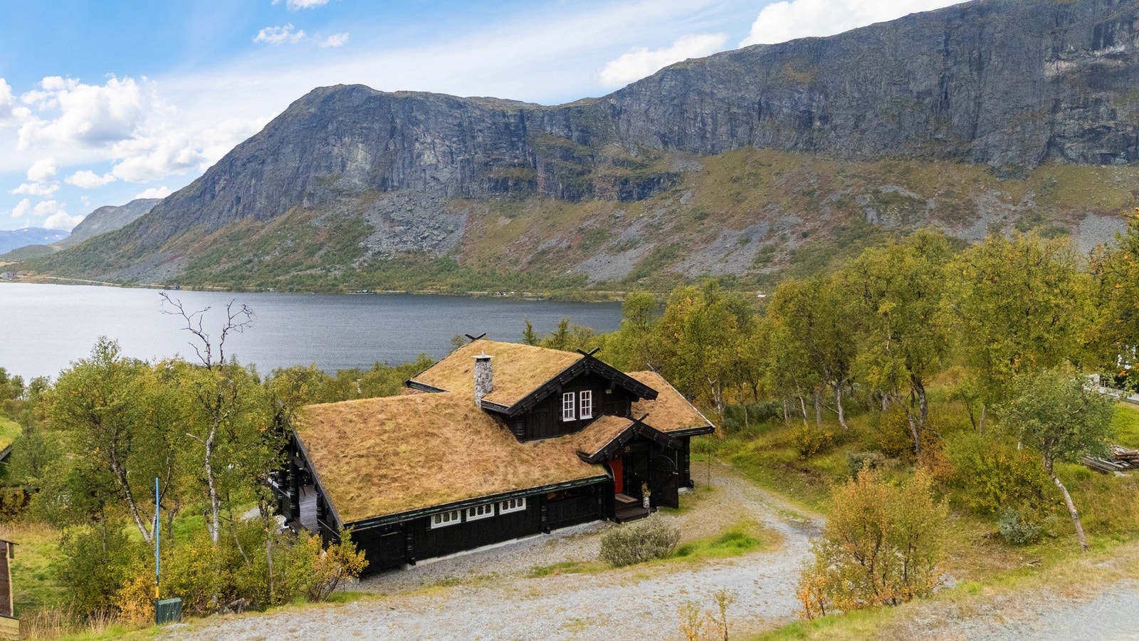 Saltak tekket med torv Galleribilde