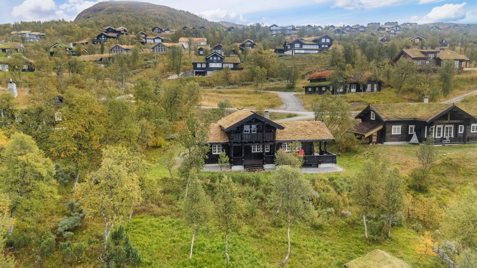 Velkommen til hyggelig visning! Galleribilde