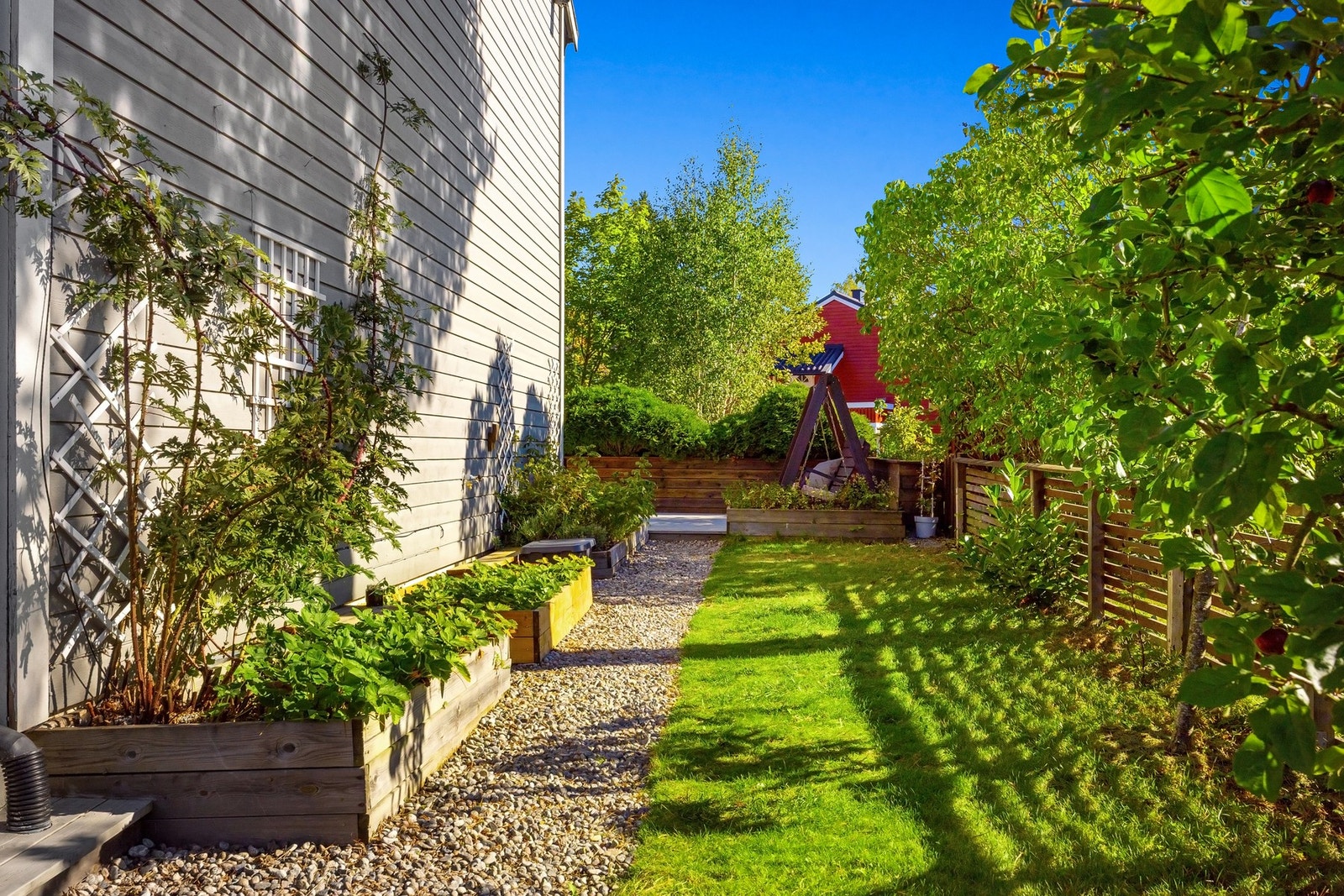 Hagen gir glede hele sommerhalvåret. Først kommer jordbær, så rips, solbær, bringebær og blåbær, deretter bjørnebær, epler og plommer Galleribilde