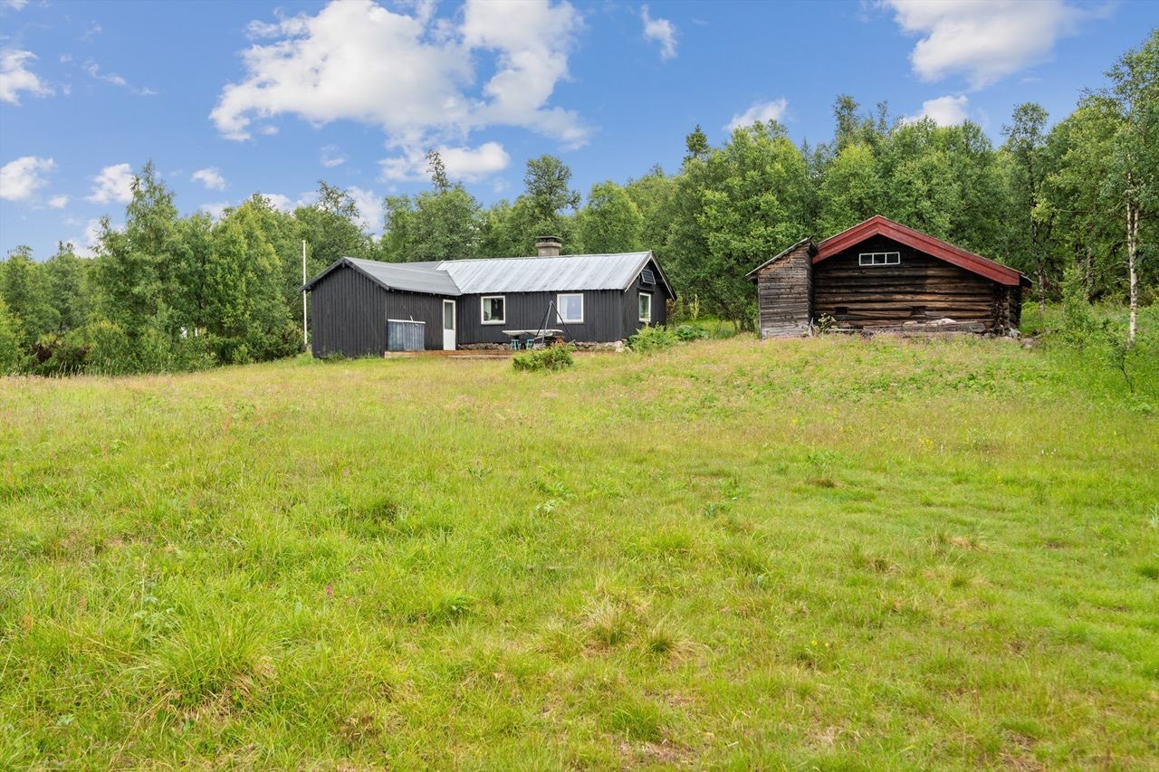 Ute og area Galleribilde