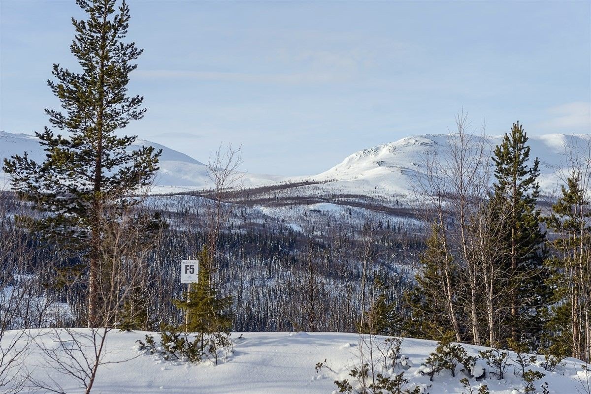 Fra tomtefeltet er det fantastisk utsikt mot omkringliggende fjellområder. Galleribilde