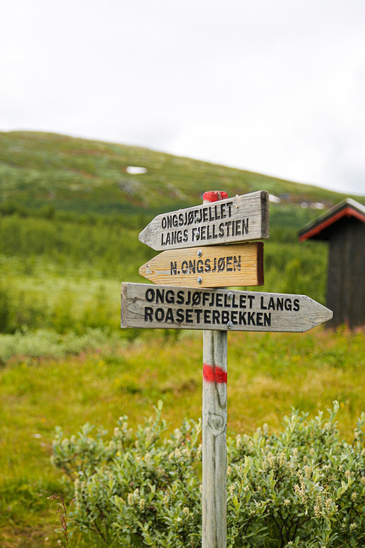 Det er rikelig med turstier i området. Galleribilde