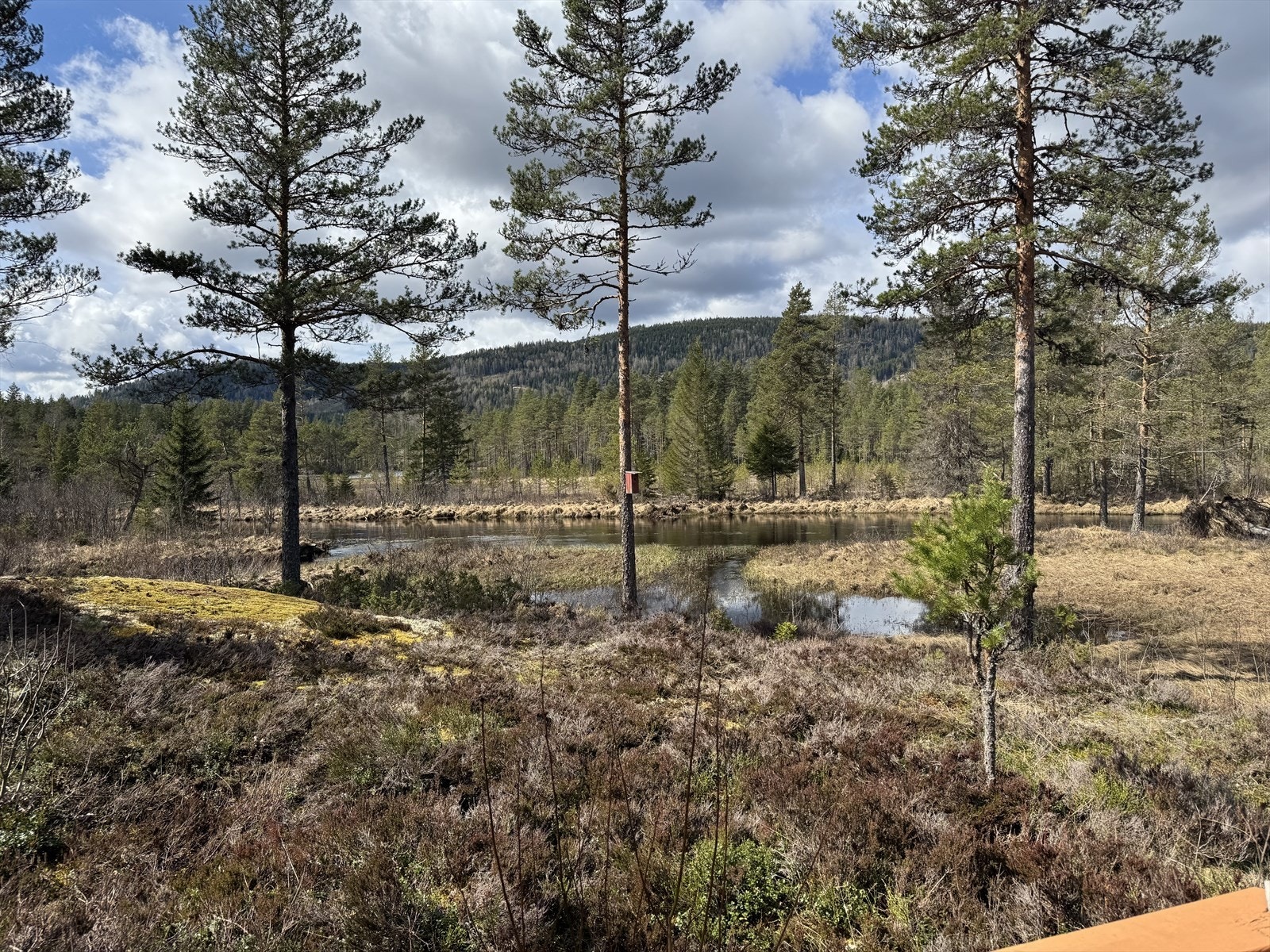 Idyllisk beliggenhet ved elva som renner ut i Øvre Lona. Galleribilde