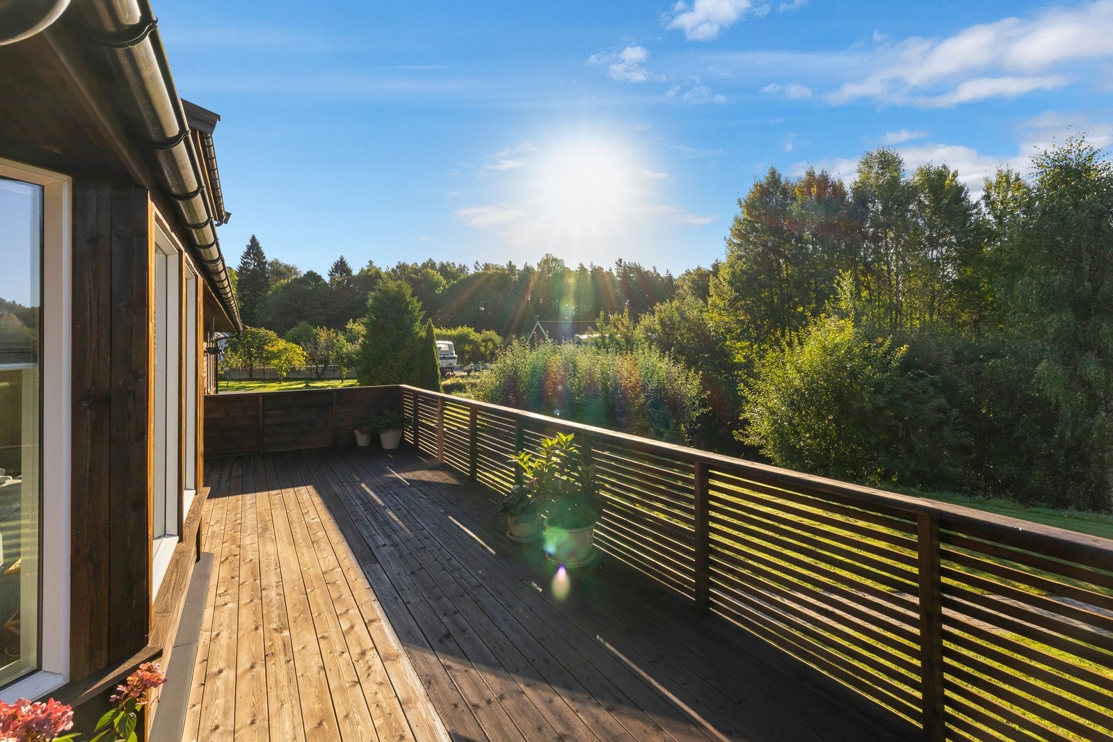 Terrasse. Galleribilde