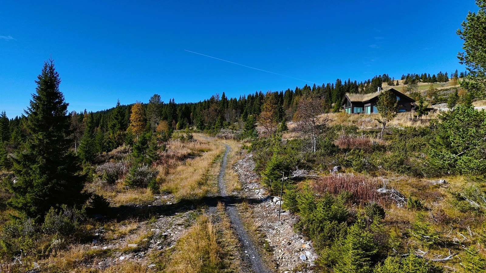 Sykkel og tursti rett bak tomtene. Samme trase som skiløypa går om vinteren. Galleribilde