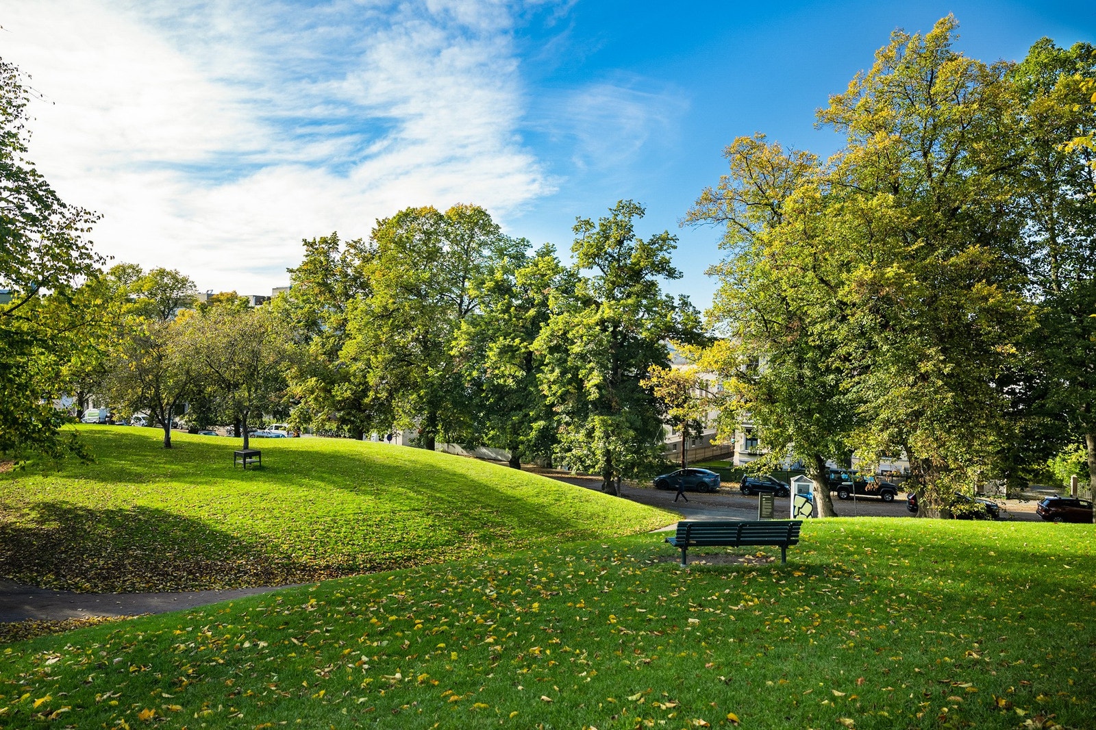 Det er mange parker i Stensparken, Frognerparken med Vigelands vakre skulpturer og Anne på landet samt Uranienborgparken m.fl Galleribilde