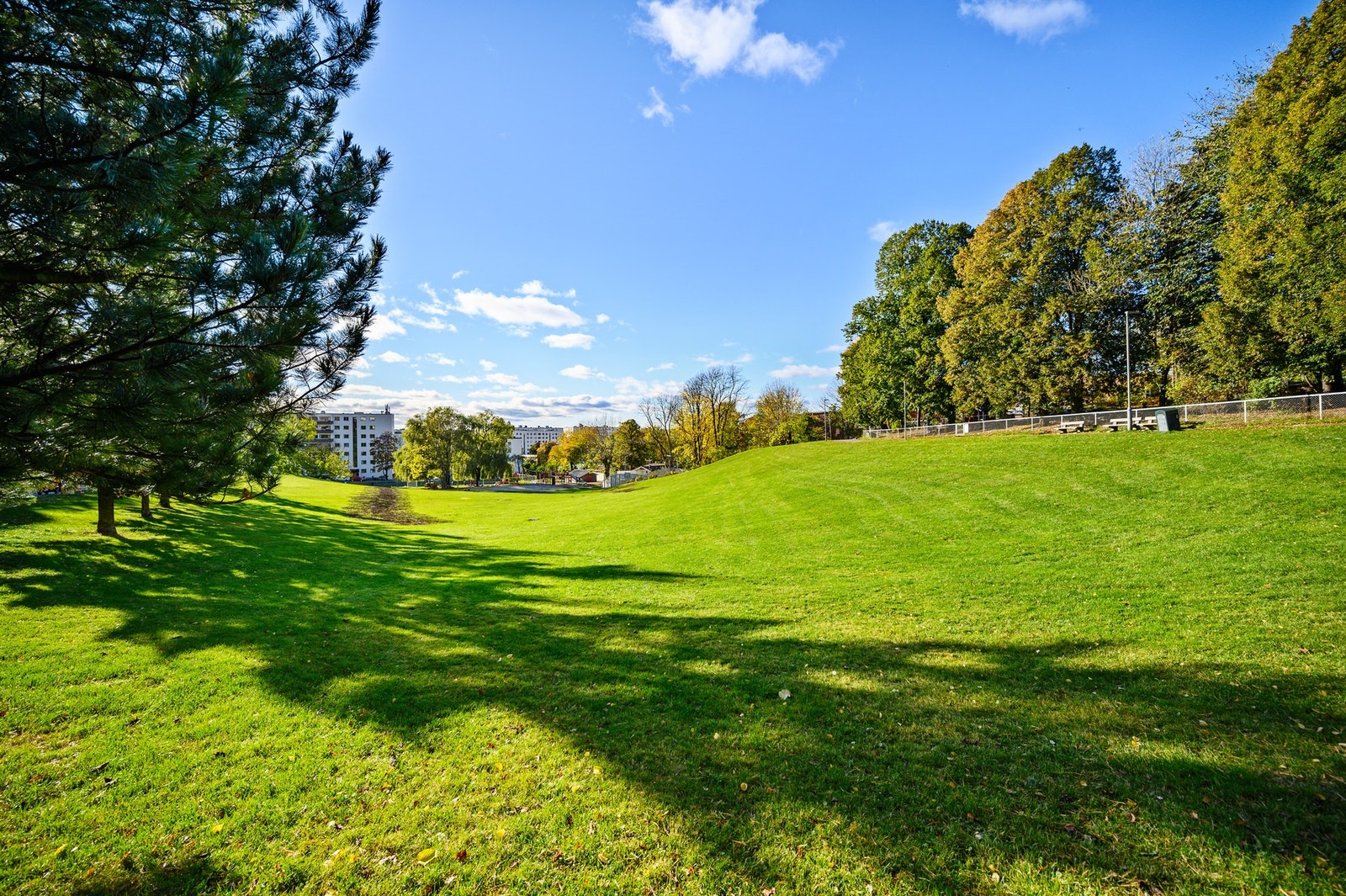 Marienlystparken er et yndet sted for store og små Galleribilde