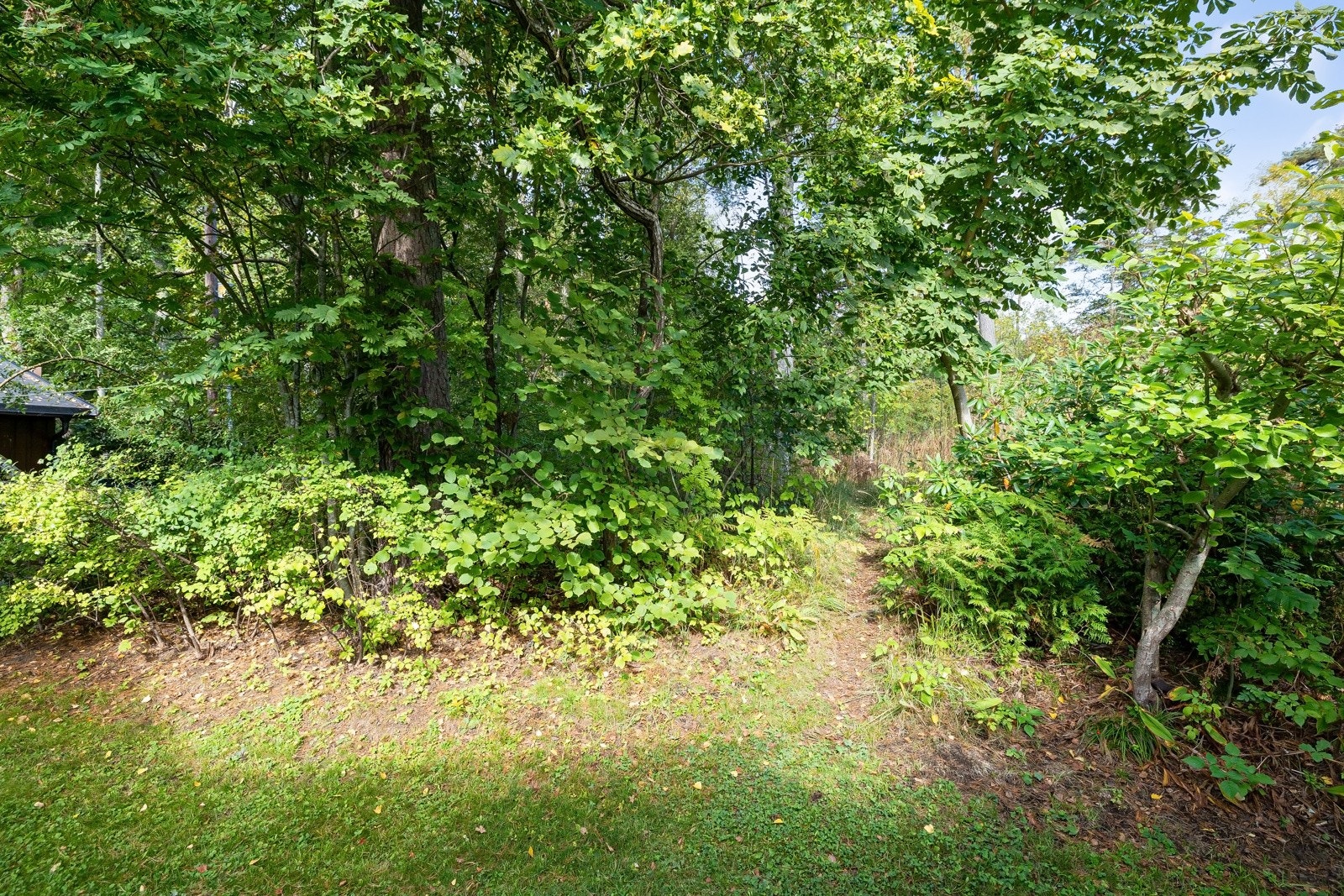 Turstien starter fra egen tomt. Galleribilde