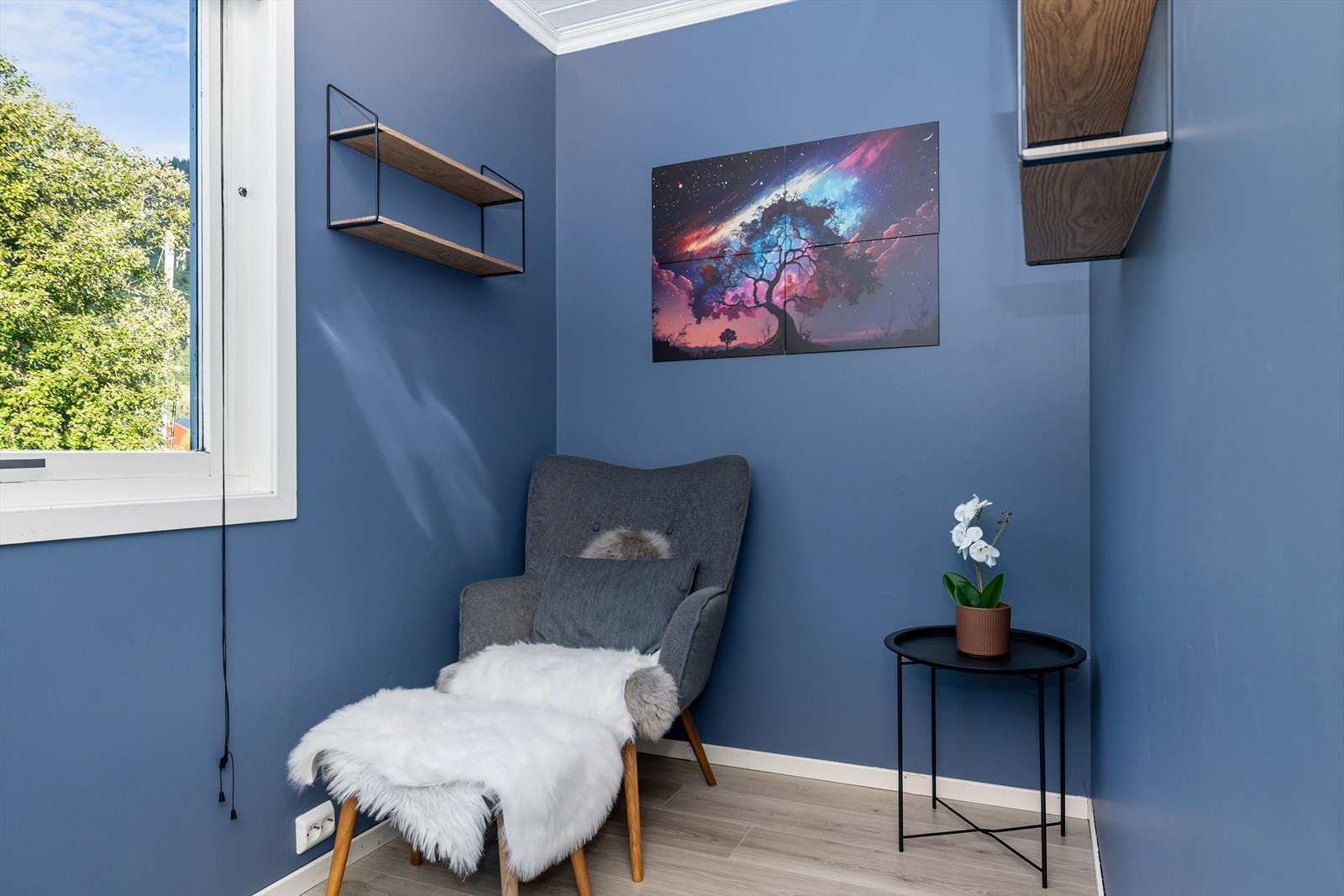 IMG 7321 Galleribilde