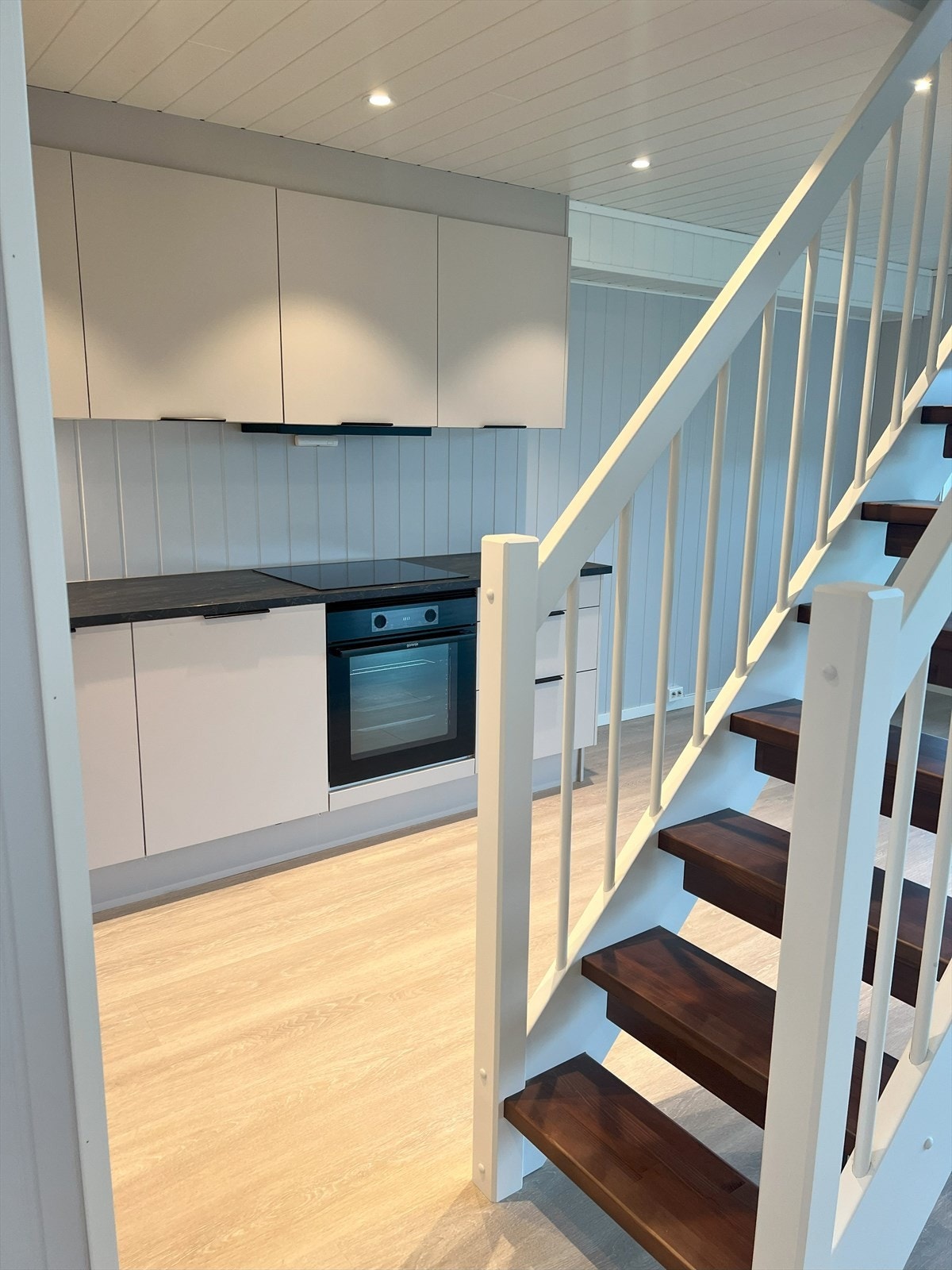 Kjøkken er nylig satt inn. Galleribilde