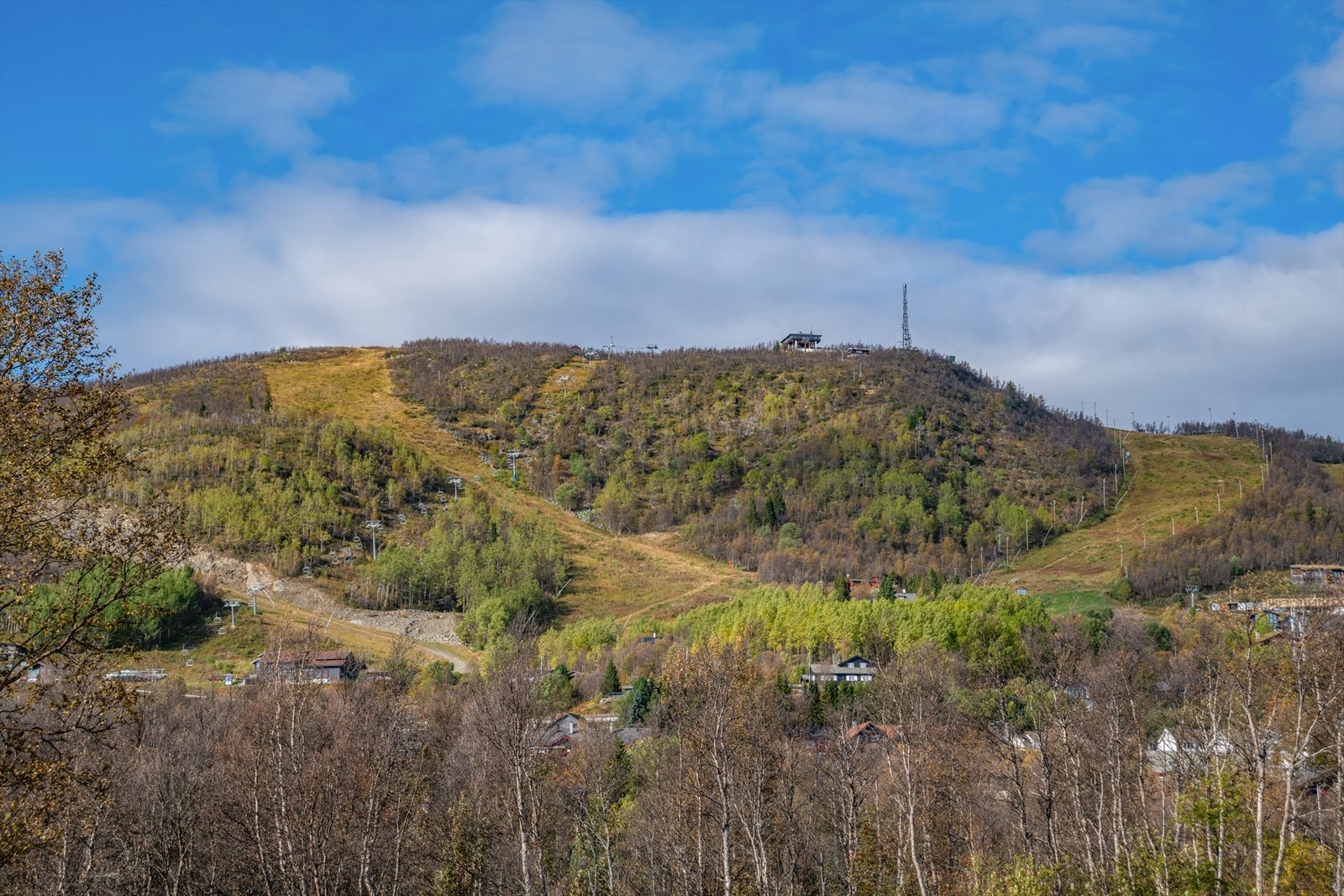 - For de som er glad i slalåm er det kort vei til skibakken og skibussen stopper like ved leiligheten - Galleribilde
