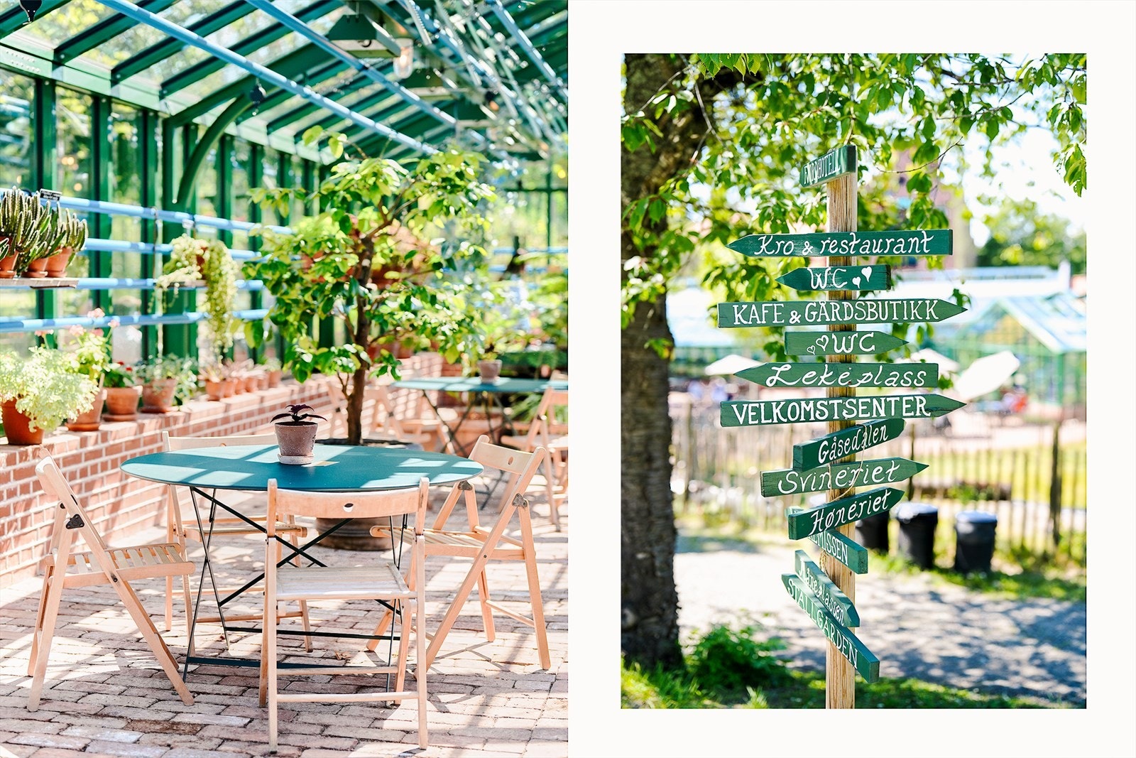 Ramme gård. Galleribilde