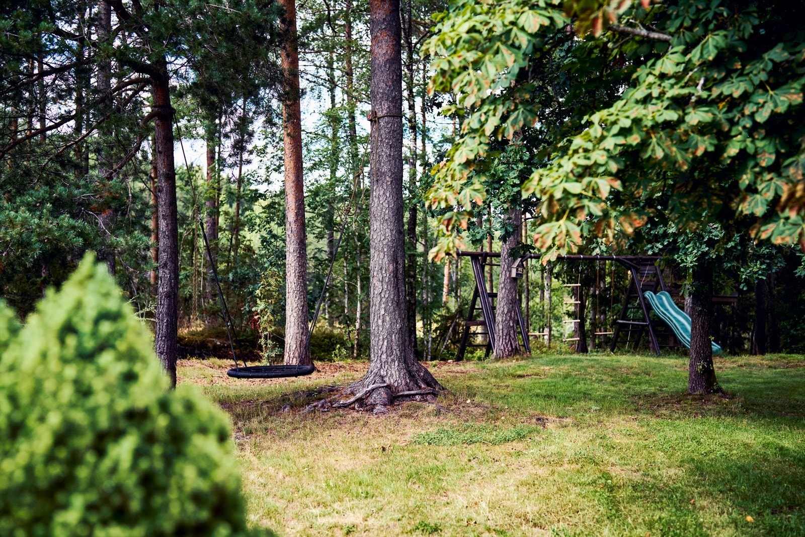 Her bor du med kort vei til store skogsområder som inviterer til turer og naturopplevelser året rundt. Her går stien til grendehuset og friluftsbarnehagen. Galleribilde