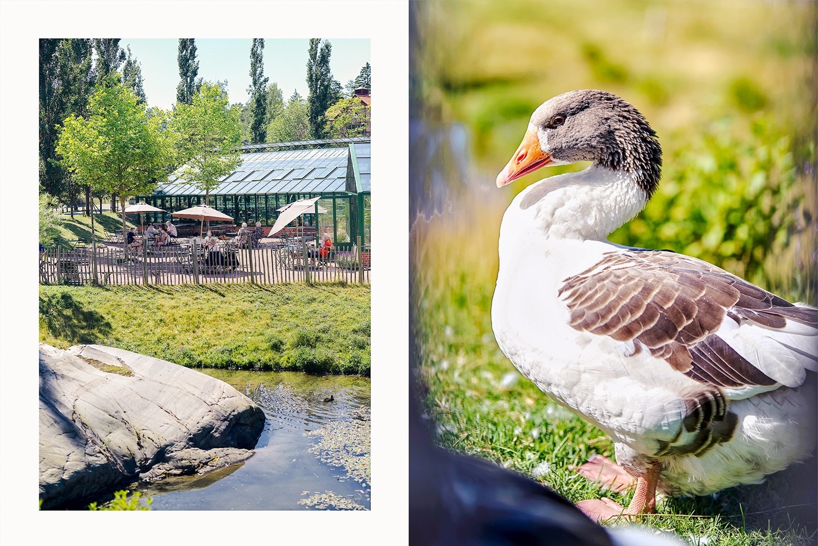 Ramme gård. Galleribilde