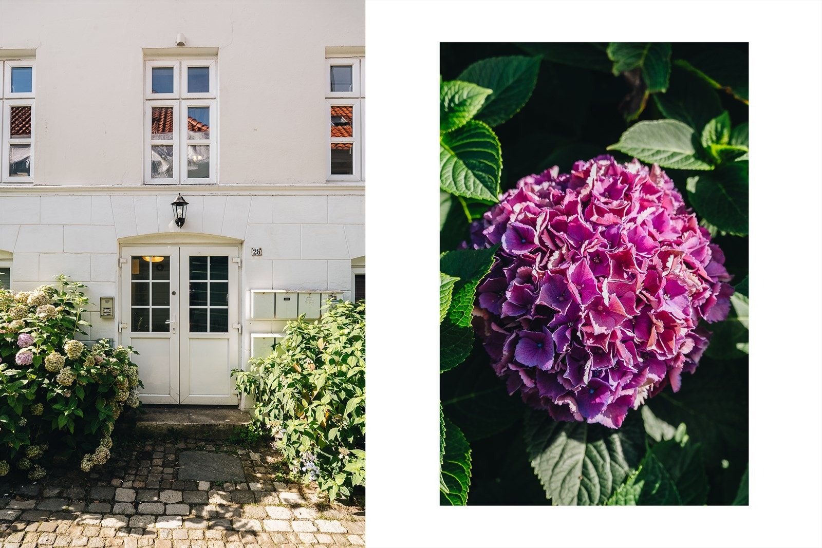 Det er stor parkeringsplass (sone) rett ovenfor, og 1 min gange til Klostergarasjen. Nydelige parker finner du rett utenfor døren. Galleribilde