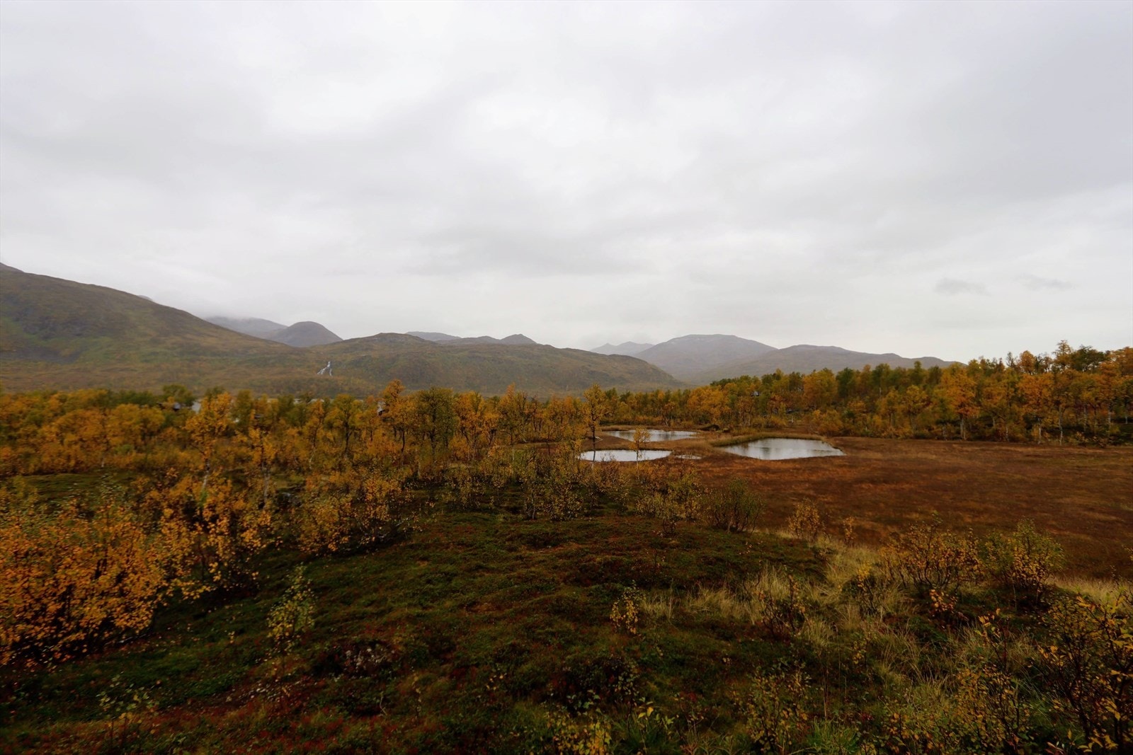 Selgers private bilde. Galleribilde