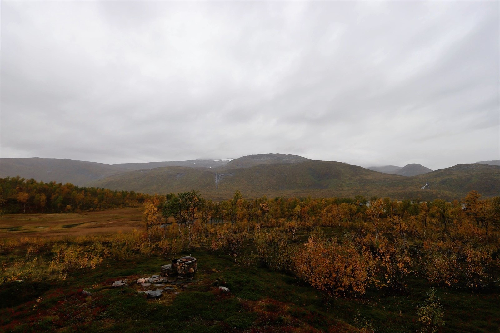 Selgers private bilde. Galleribilde