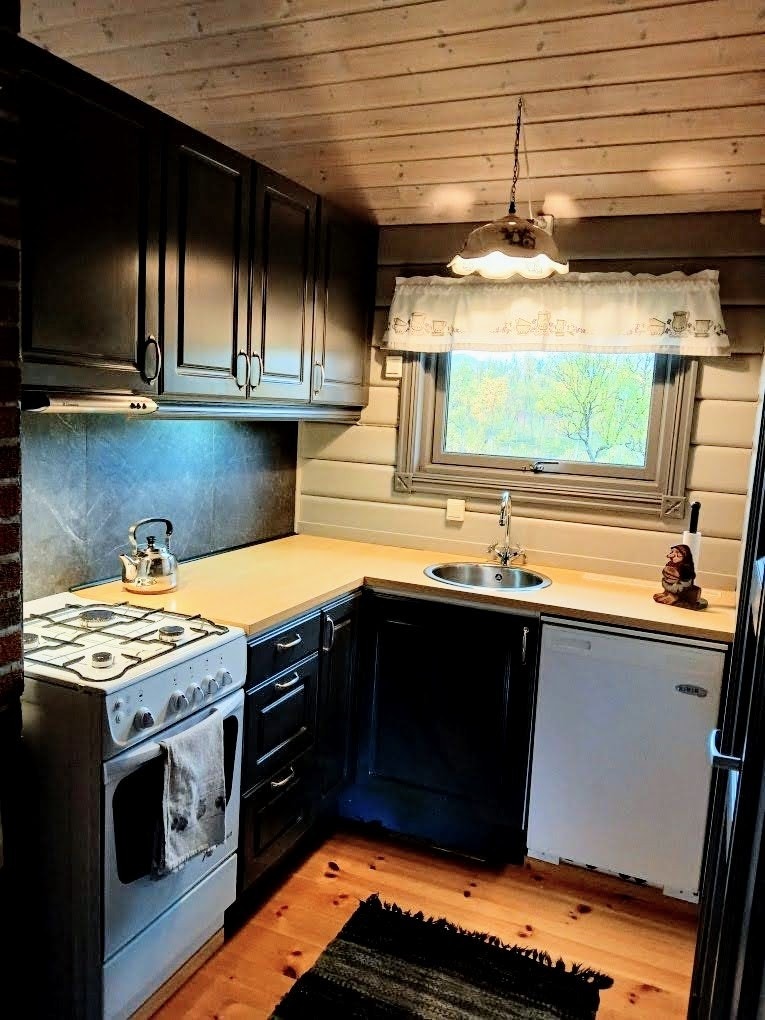 Selgers private bilde. Galleribilde