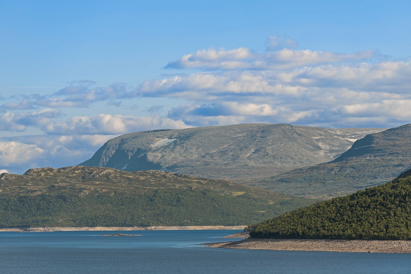 Et skue! Galleribilde