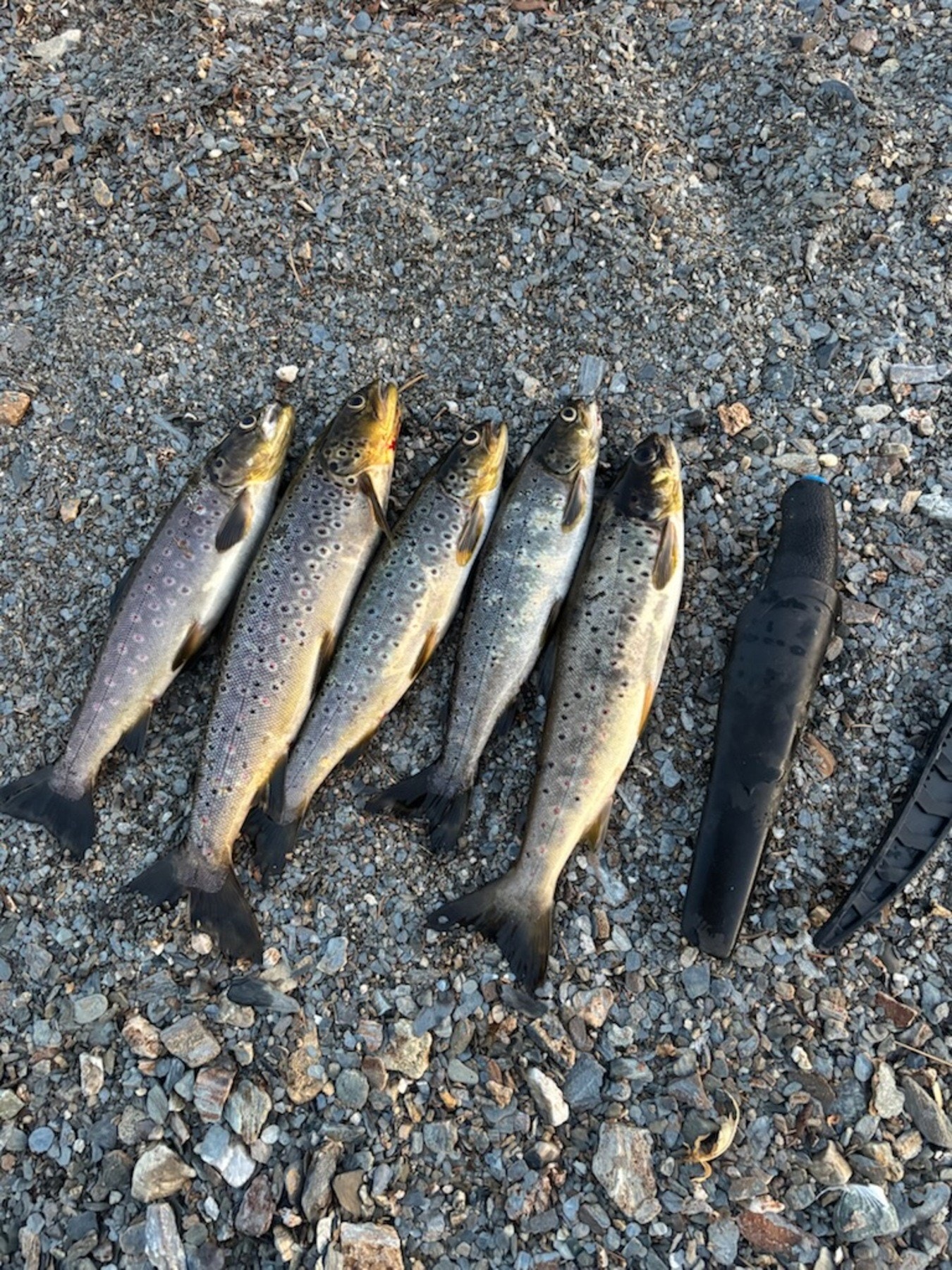 Eldorado for fiske og friluftsliv, med vakre Otersjøen i nærområdet Galleribilde