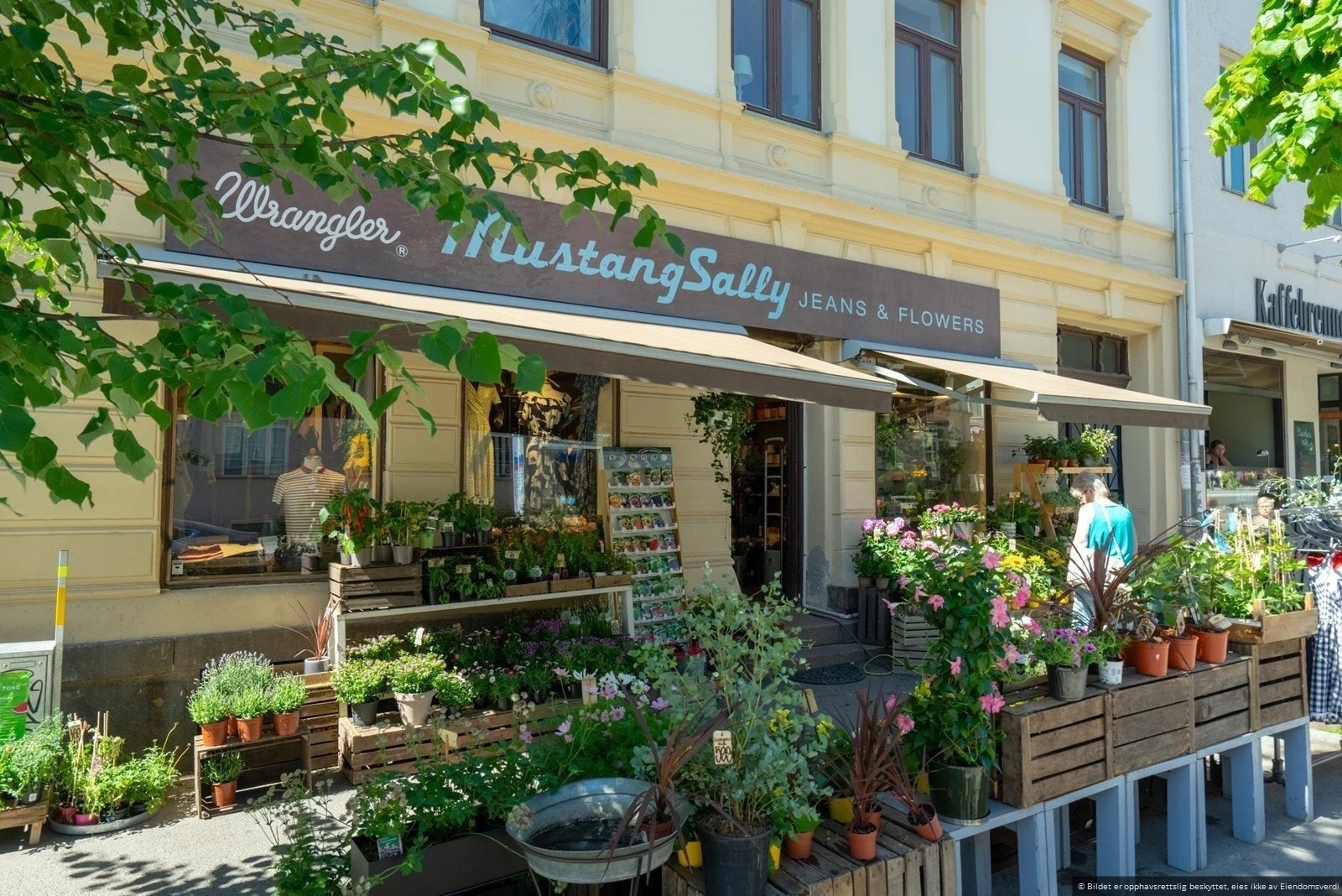 Torshov - Nabolaget er preget av et godt tilbud av hyggelige lokale butikker. Galleribilde