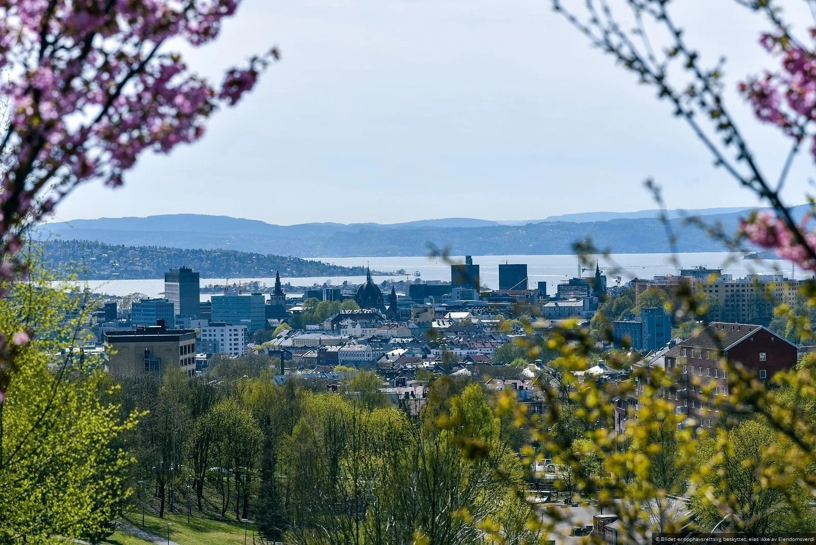 Torshovdalen, og flere nydelig parker vil pryde ditt nye område. Galleribilde
