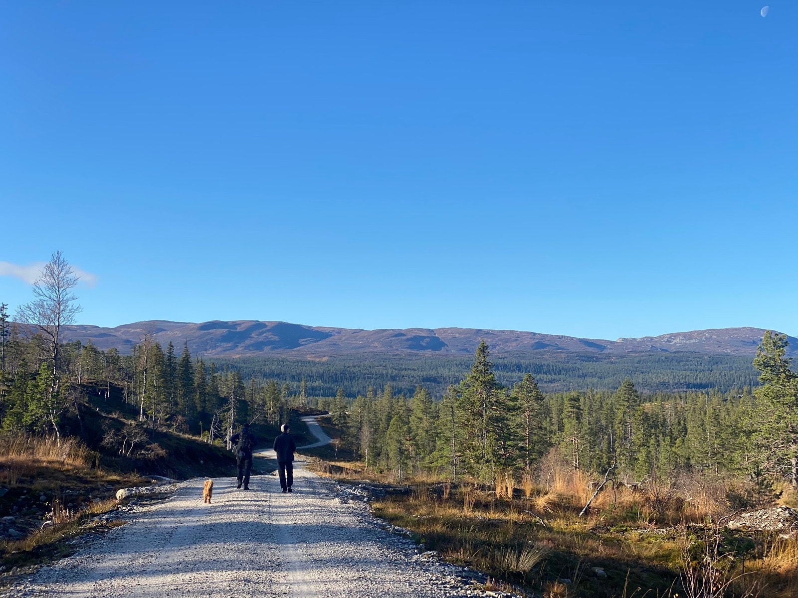 Utsikt mot Blefjell fra Solumsetervegen Galleribilde