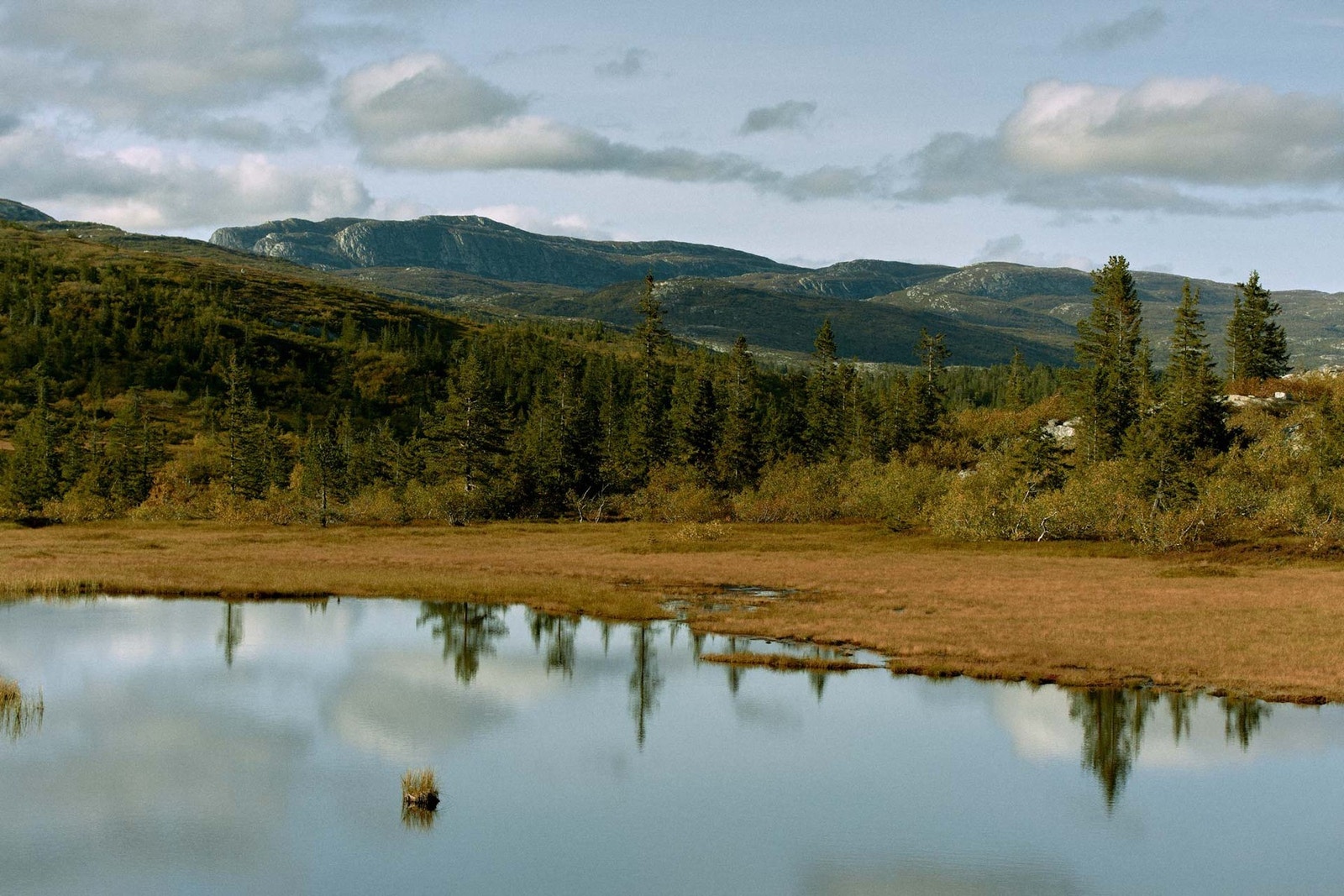 Fine fjellvann! Galleribilde