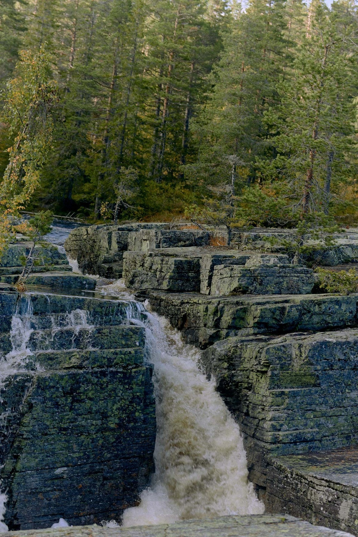 Juvfossen - en flott tur i nærområdet Galleribilde