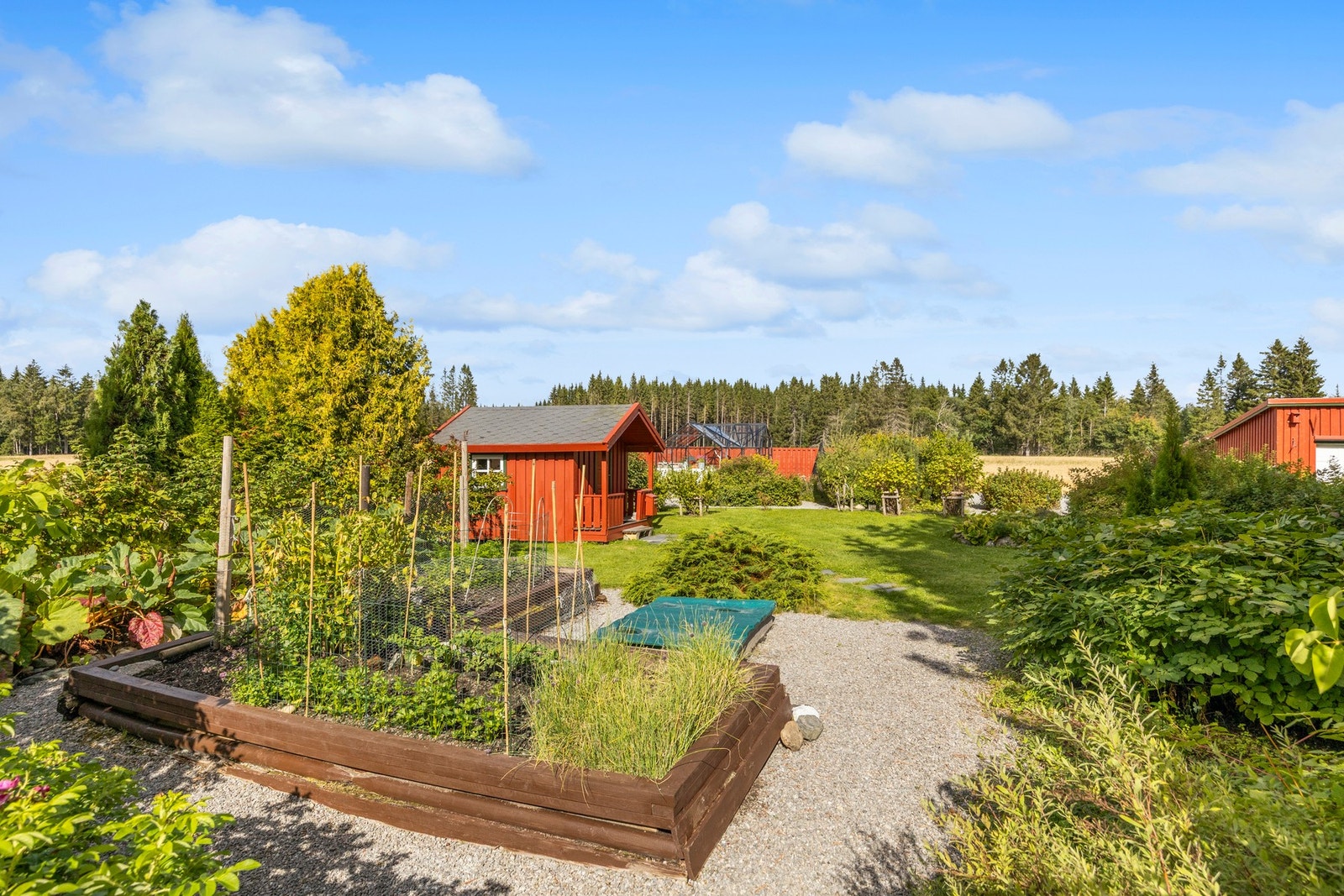 Uteområde Galleribilde