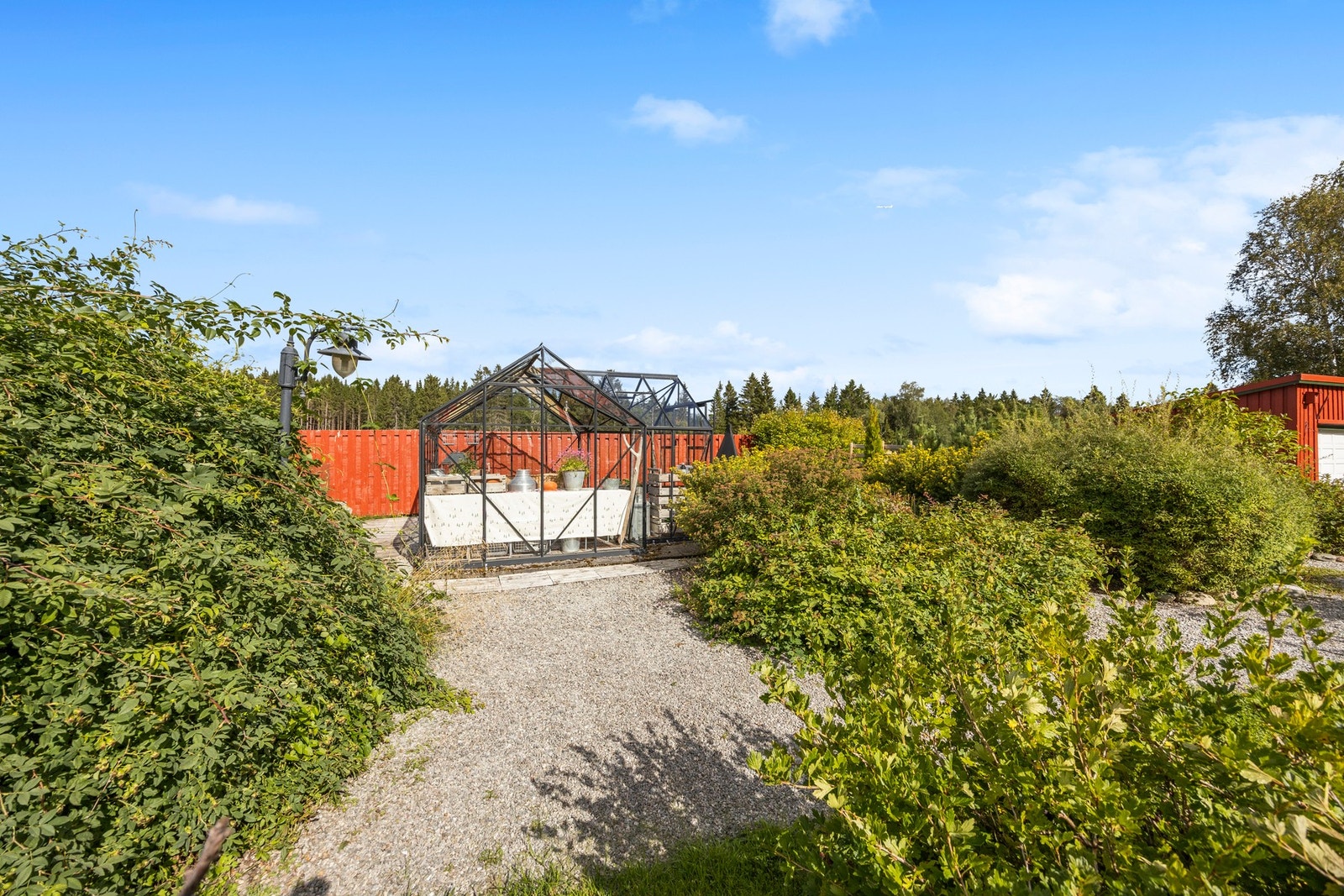 Drivhus Galleribilde