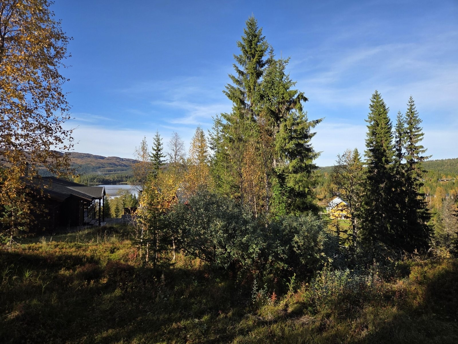 1000016767 Galleribilde