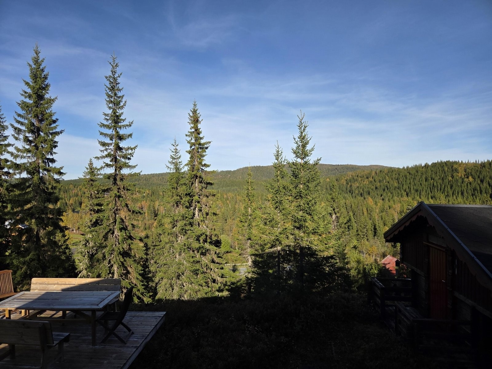 1000016768 Galleribilde