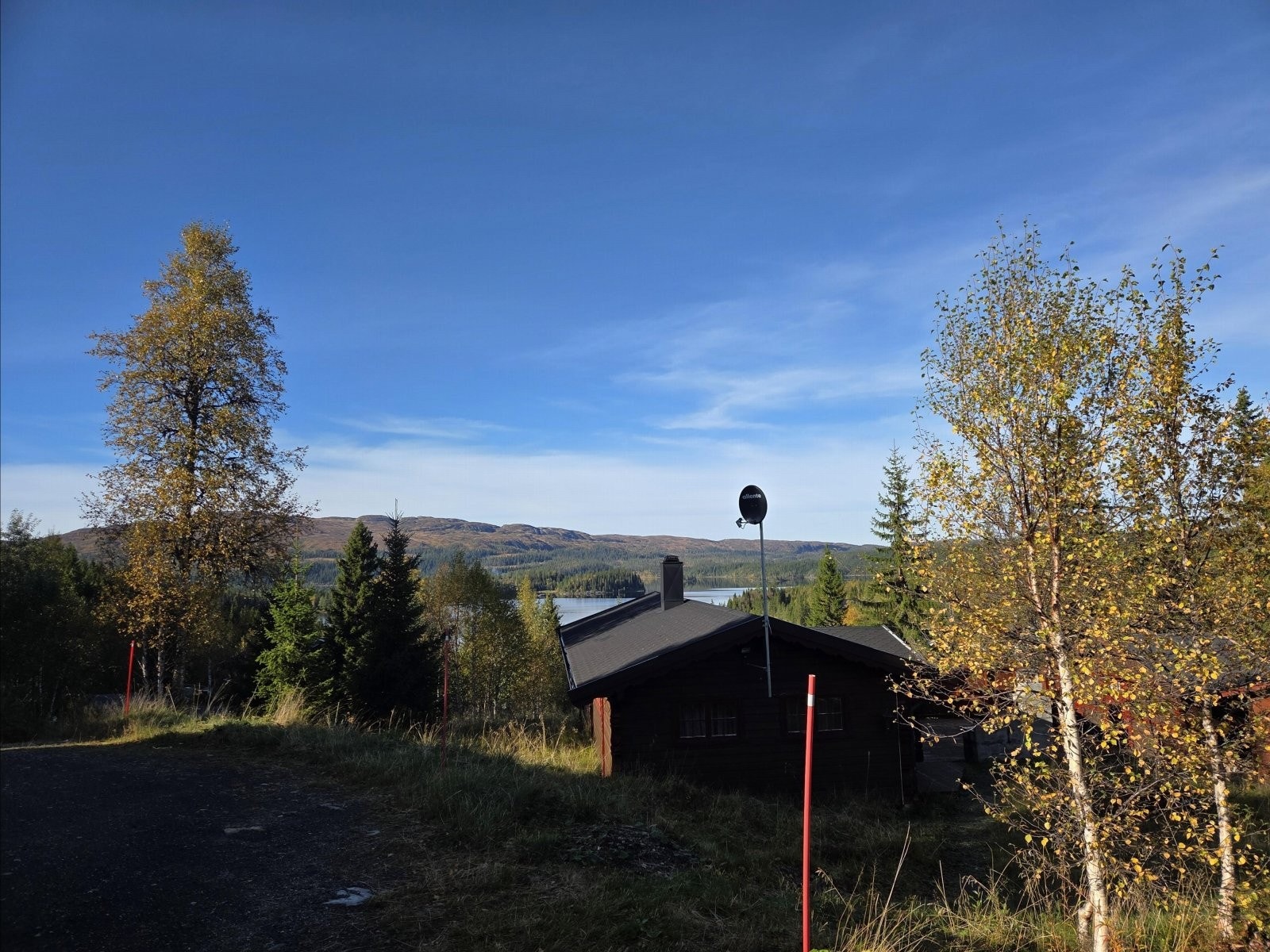 1000016766 Galleribilde