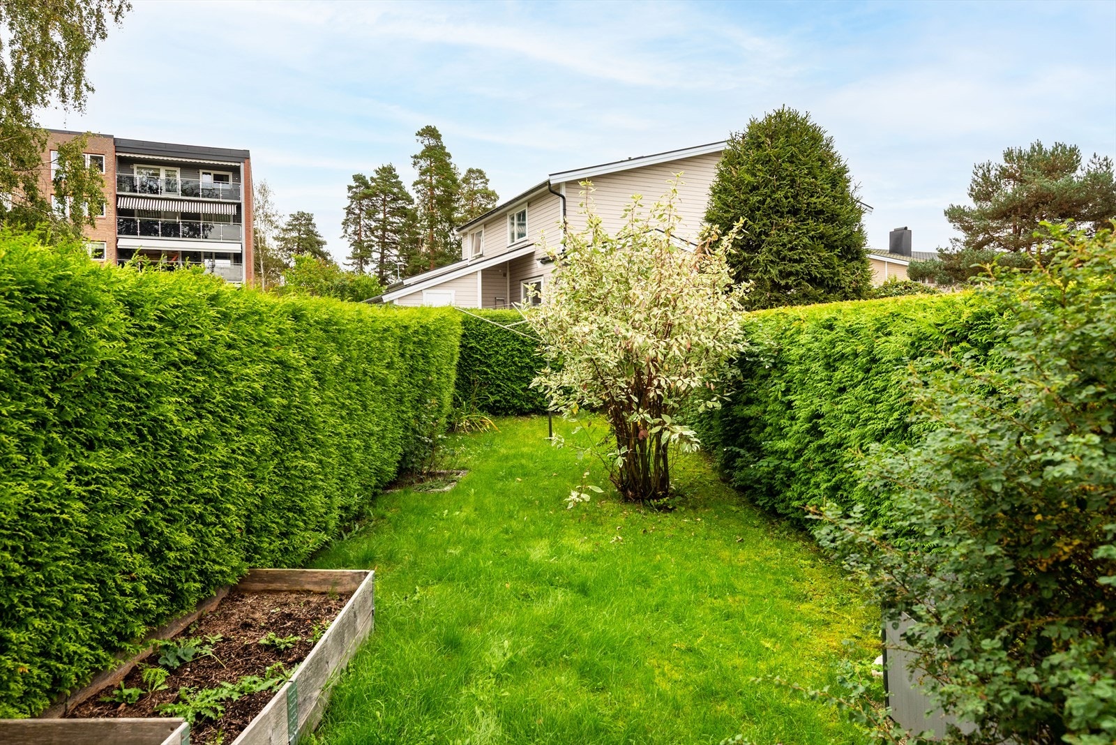 DSC_0784-Edit.jpg Galleribilde