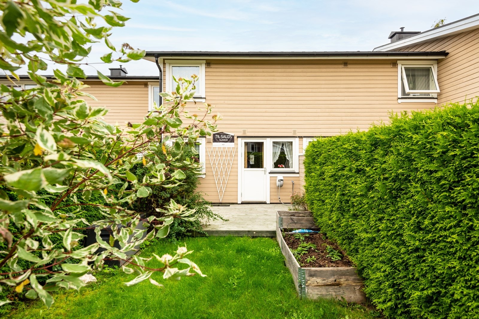 DSC_0774-Edit.jpg Galleribilde