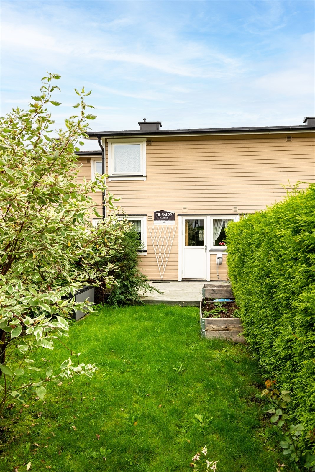 DSC_0782-Edit.jpg Galleribilde