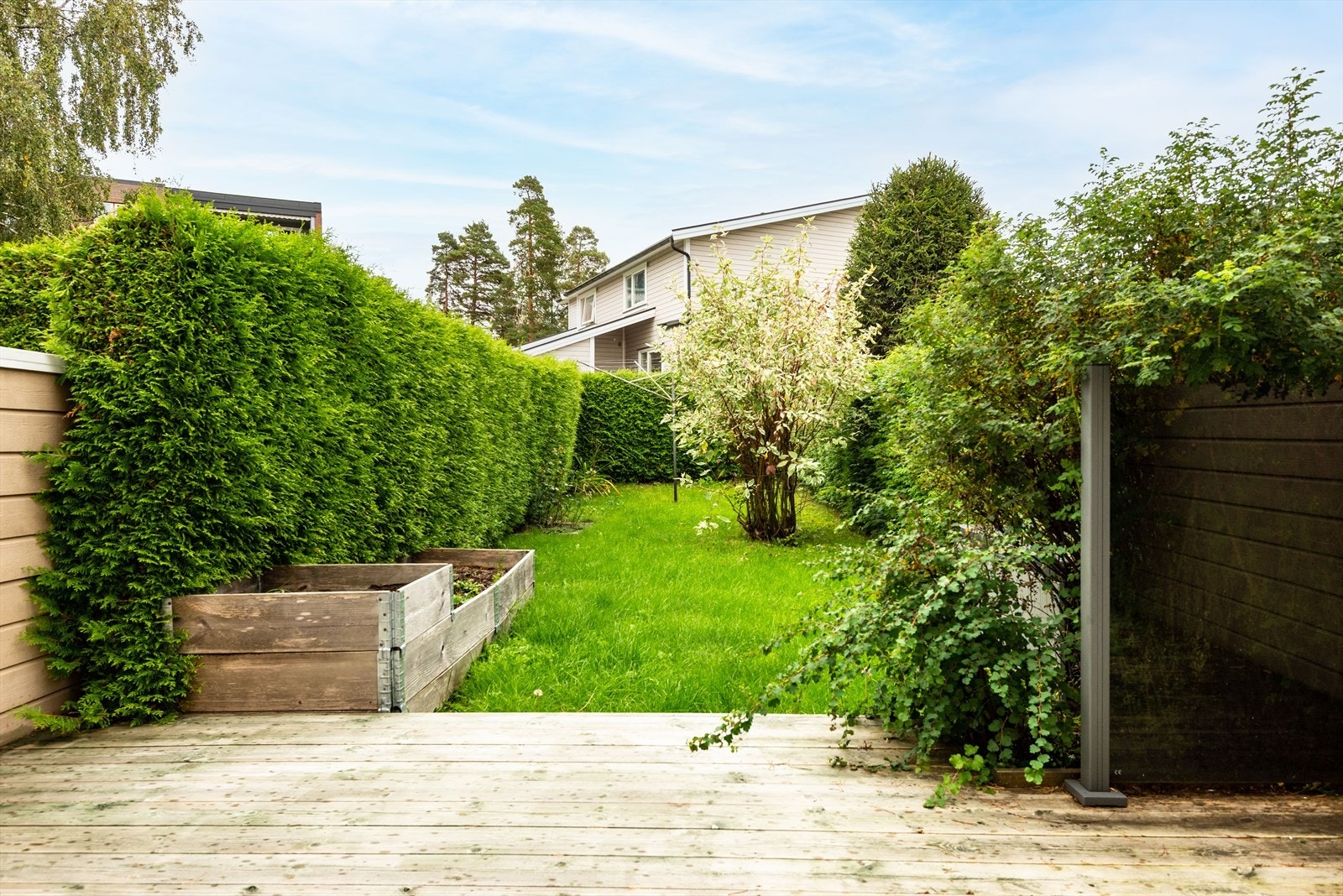 DSC_0768-Edit.jpg Galleribilde