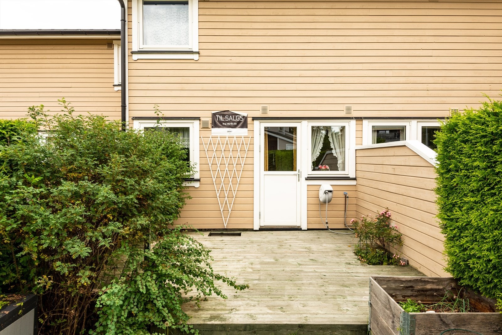 DSC_0783.jpg Galleribilde