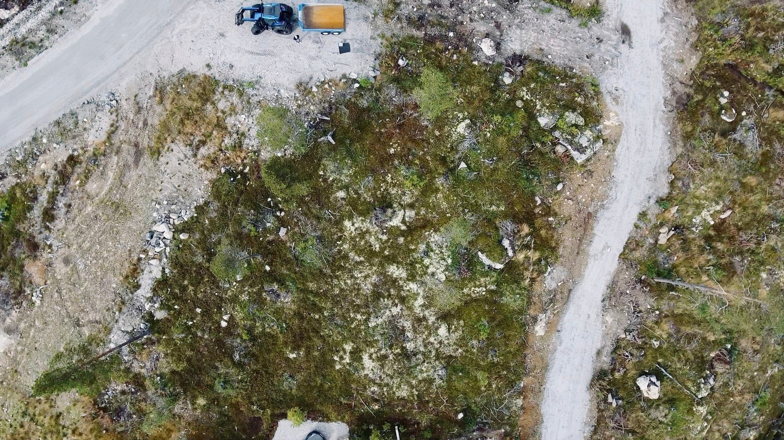 Tomten sett ovenfra. Galleribilde