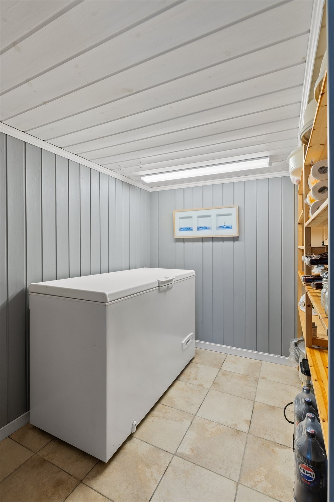 Boden er utstyrt med et praktisk hyllesystem, og fryser i kjelleren frigjør plass i hovedetasjen Galleribilde