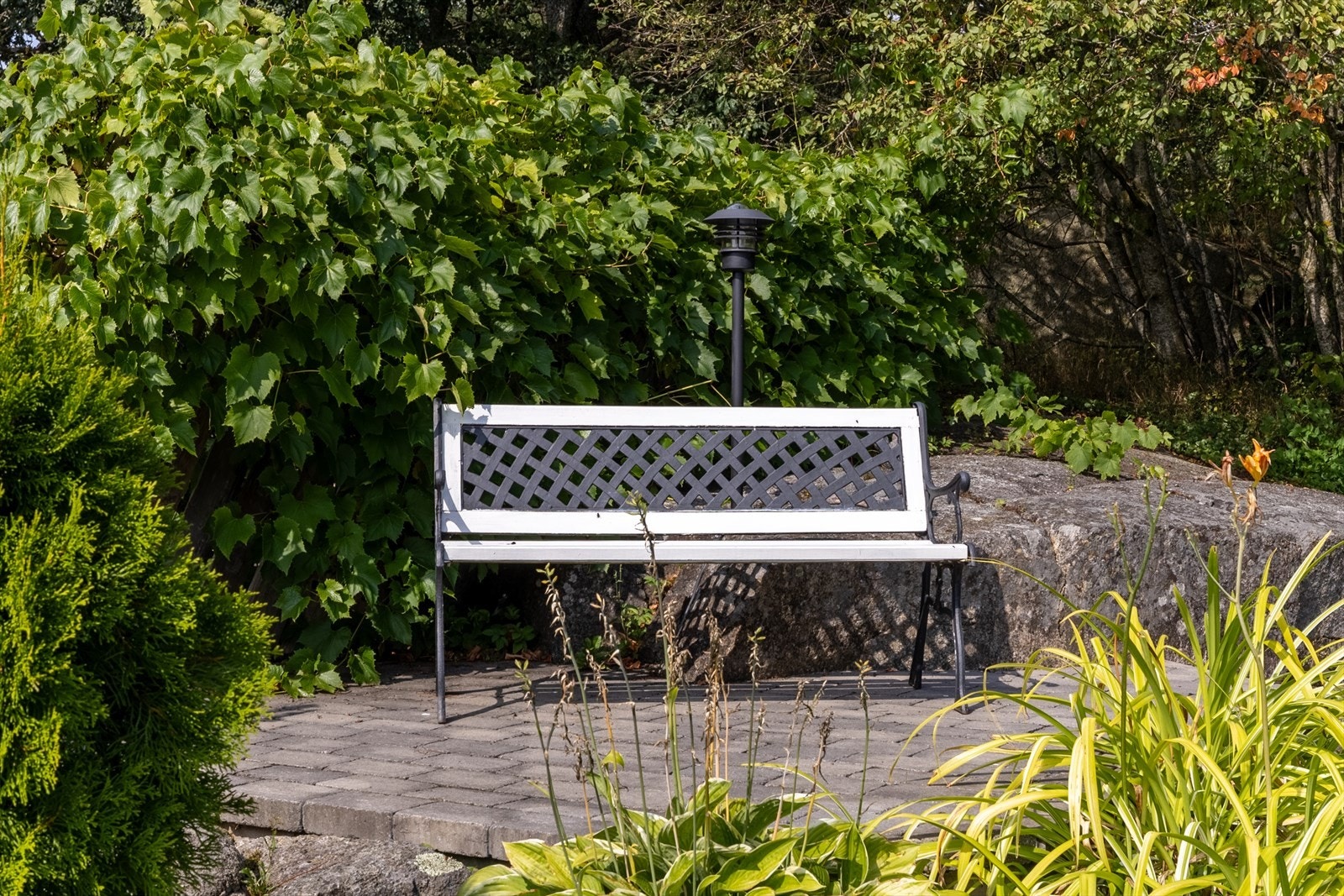 Her kan du følge solen gjennom dagen og nyte hvert øyeblikk Galleribilde