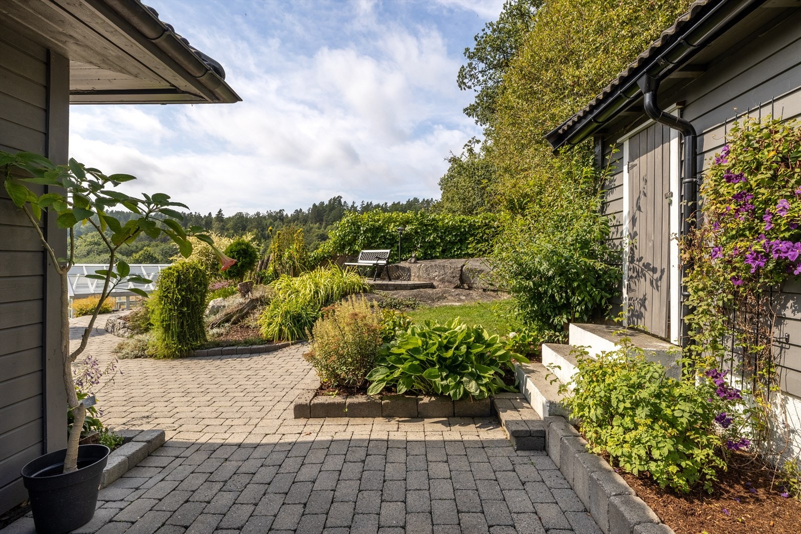 Pent opparbeidet uteområde med belegningsstein og flott beplantning Galleribilde