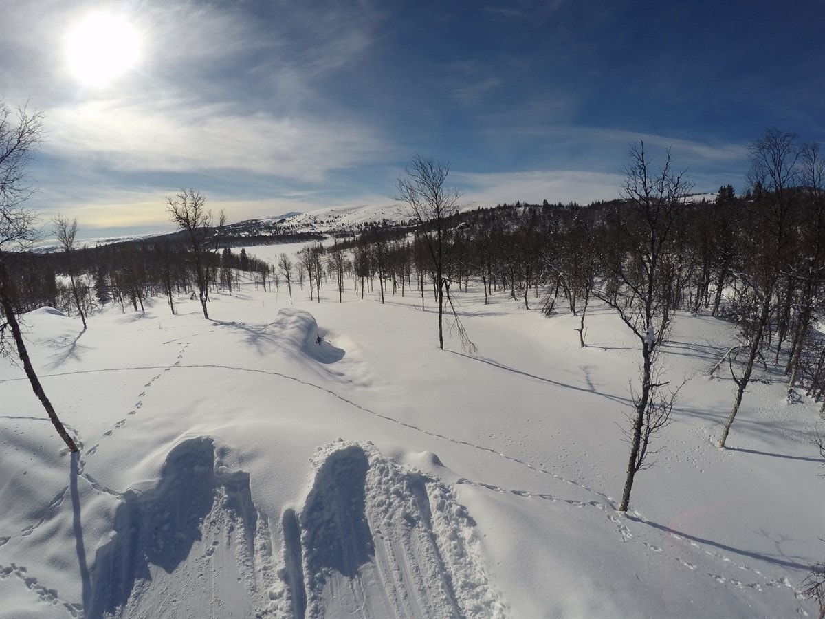 Fiskeløyse er et område som blir mer og mer populært. Her er det fortsatt mye urørt natur, samtidig som mange har skaffet seg drømmehytta nettopp her. Galleribilde