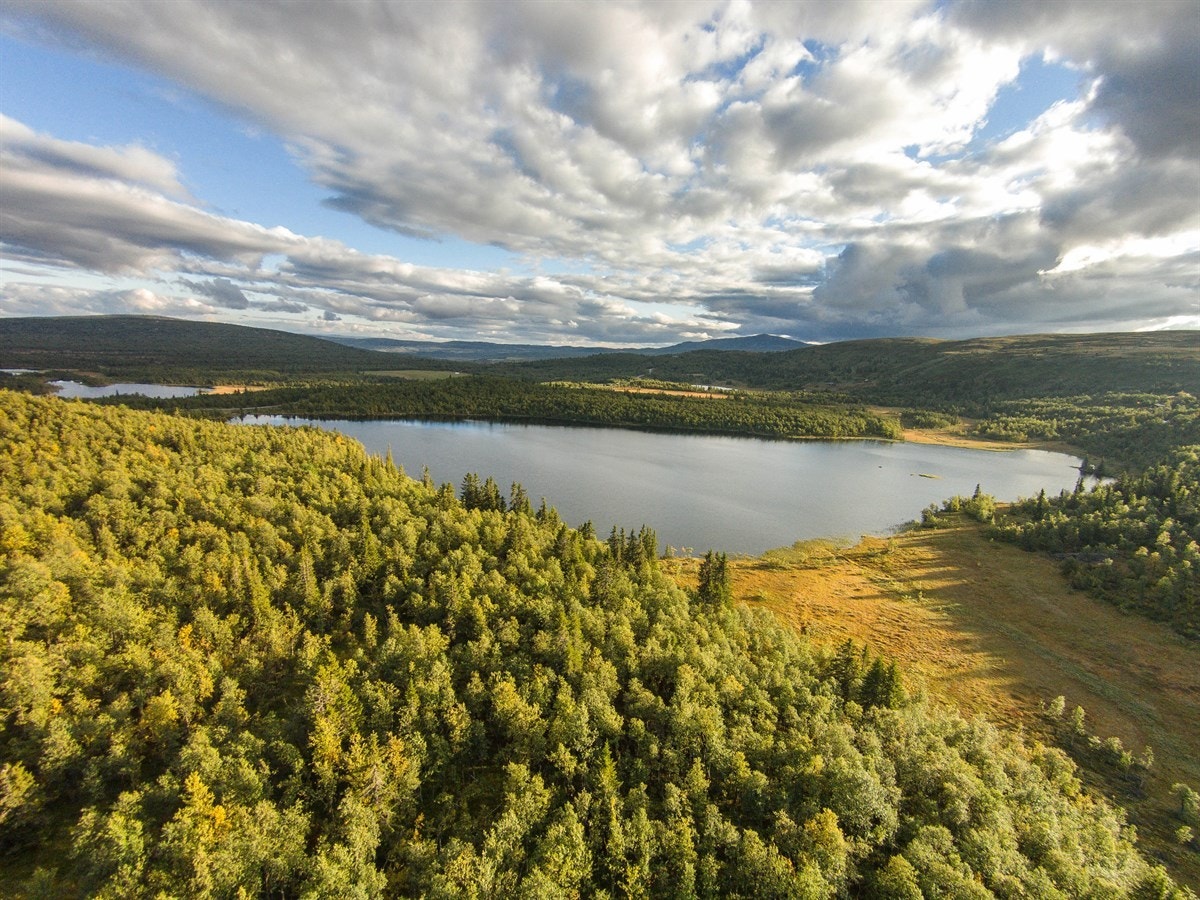 I områdene rundt Fiskeløyse finner en milevis med fine stølsveier godt egnet for korte og lengre sykkelturer. Hvert år arrangeres Valdresrittet, et populært sykkelritt med ulike klasser og traséer, like i nærheten av tomtene. Galleribilde
