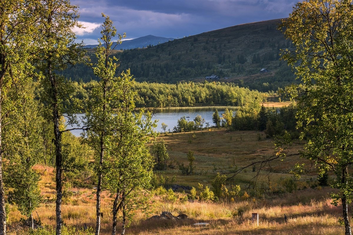 Jakt- og fiskemuligheter finnes også. Galleribilde