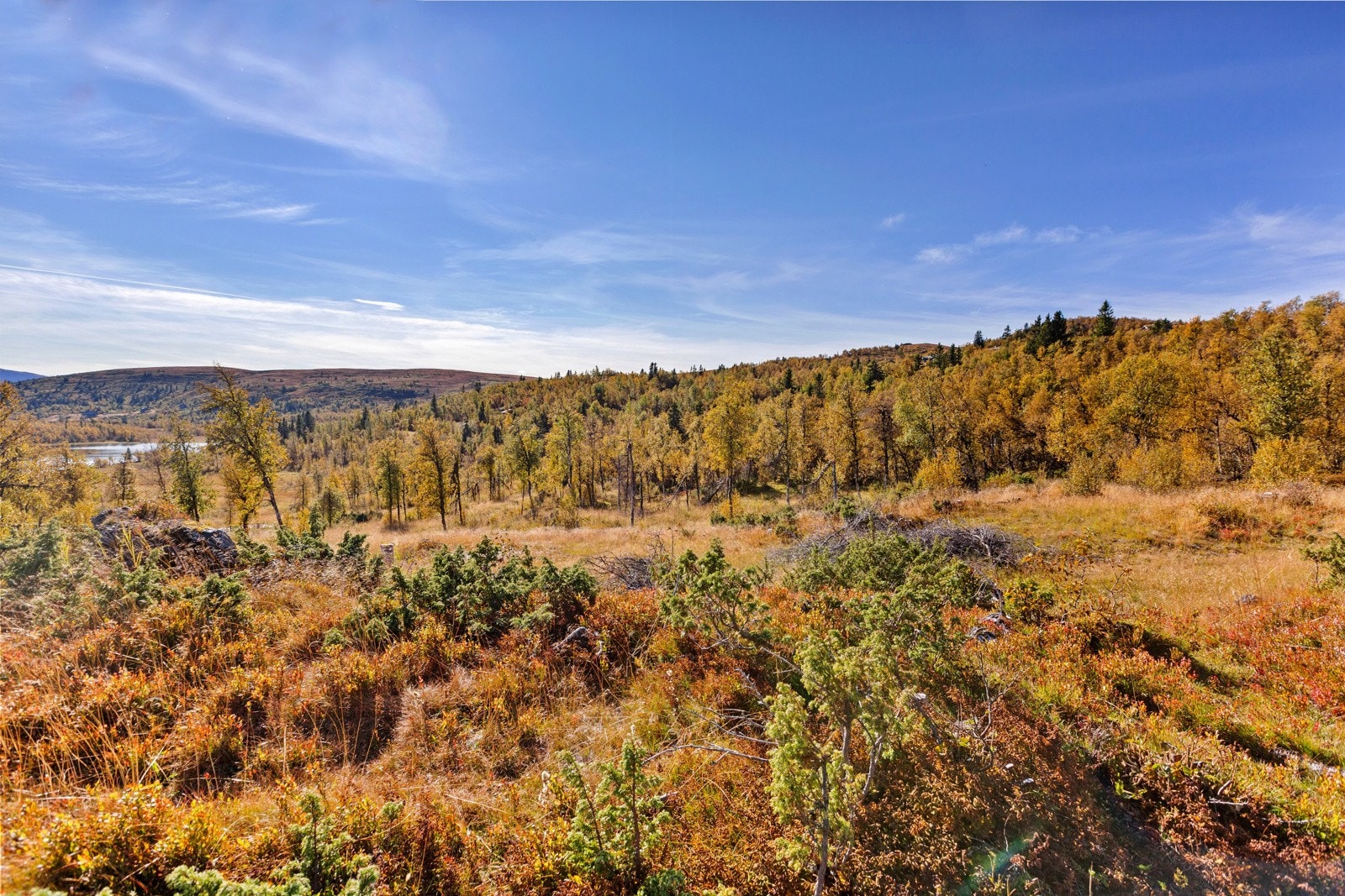 Det er også mange fine turmål til fots med fjelltopper en kan besøke, og multer til juledesserten er det også mulig å oppdrive. Galleribilde