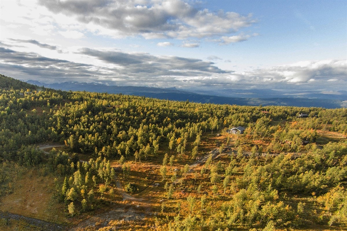 Fra hytta på bildet ligger tomtene flott plassert nedover i terrenget. Galleribilde