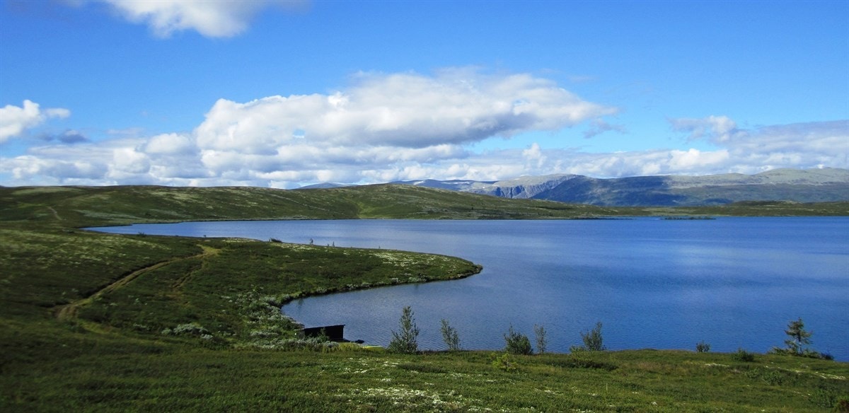 Vannet Fiskeløyse har utspring i en kilde. Foruten fantastisk natur er det også bra ørretfiske her. Galleribilde