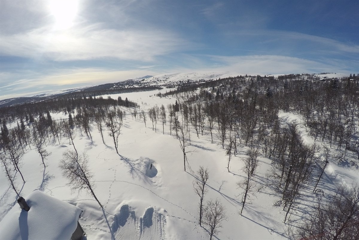 Fiskeløyse ligger i naturskjønne omgivelser ca. 1.150 moh mellom Vaset og Syndin! Galleribilde
